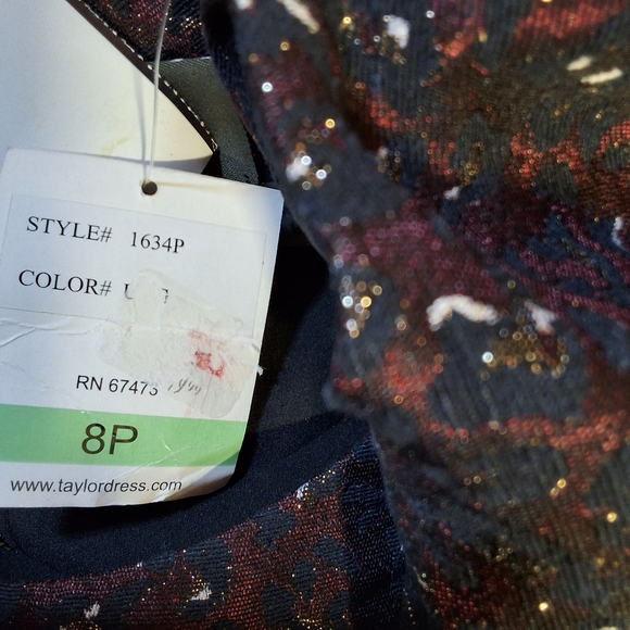 NWT TAYLOR ZIPPERED SLEEVELESS JEWEL NECK ABOVE KNEE FIT + FLARE DRESS - Picture 10 of 12